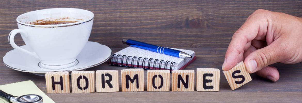 Hormones 101: Our Guide to the Different Types & How We Can Balance Them